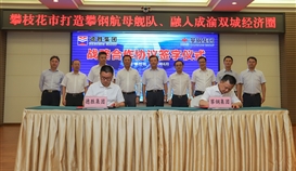 共建釩鈦產業(yè)生態(tài)圈--德勝集團與攀鋼簽訂戰(zhàn)略合作協議