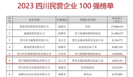 連續(xù)六年！德勝集團(tuán)上榜“四川民營企業(yè)100強(qiáng)”